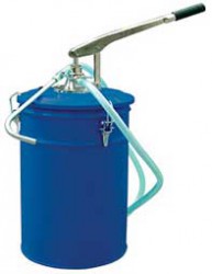 ?????? ????????????????